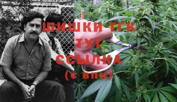 прущая мука Армянск