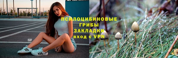 ALPHA-PVP Няндома